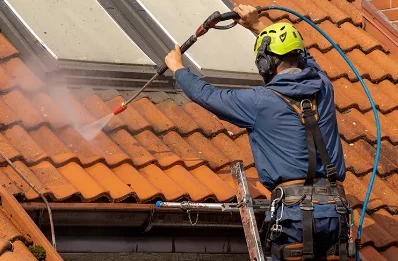 Démoussage et hydrofuge de toiture à Antrenas